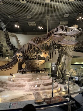 国立科学博物館に投稿された画像（2022/1/5）