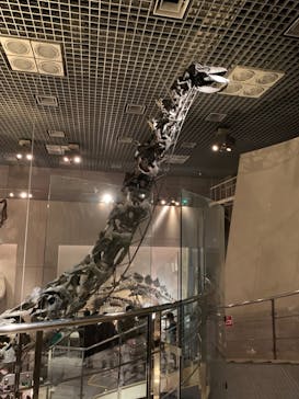 国立科学博物館に投稿された画像（2022/1/5）