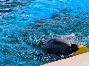 南知多ビーチランド＆南知多おもちゃ王国に投稿された画像（2022/1/5）