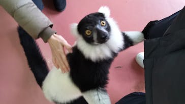 那須ワールドモンキーパークに投稿された画像（2022/1/5）