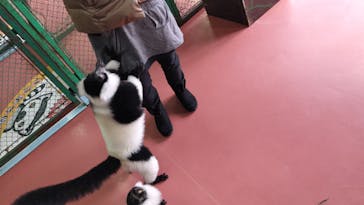 那須ワールドモンキーパークに投稿された画像（2022/1/5）