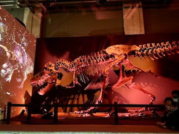 ティラノサウルス展 ～Ｔ. rex 驚異の肉食恐竜～（名古屋市科学館）に投稿された画像（2022/1/5）