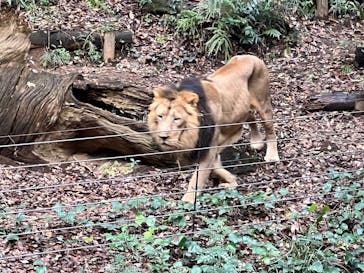 よこはま動物園ズーラシアに投稿された画像（2022/1/6）
