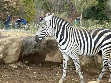 よこはま動物園ズーラシアに投稿された画像（2022/1/6）