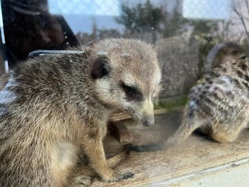 よこはま動物園ズーラシアに投稿された画像（2022/1/6）