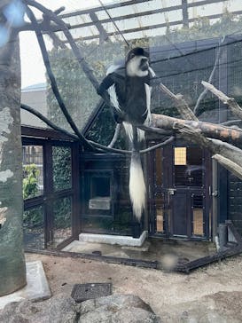 よこはま動物園ズーラシアに投稿された画像（2022/1/6）