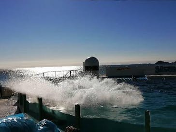 鴨川シーワールドに投稿された画像（2022/1/6）