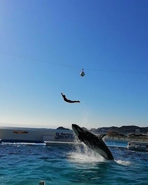 鴨川シーワールドに投稿された画像（2022/1/6）