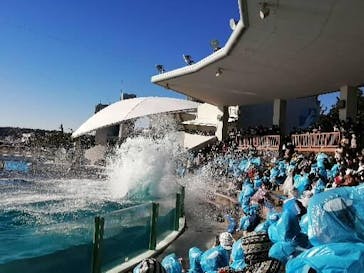 鴨川シーワールドに投稿された画像（2022/1/6）