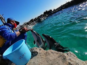 鴨川シーワールドに投稿された画像（2022/1/6）