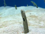 仙台うみの杜水族館に投稿された画像（2022/1/6）