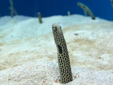 仙台うみの杜水族館に投稿された画像（2022/1/6）