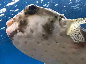 仙台うみの杜水族館に投稿された画像（2022/1/6）