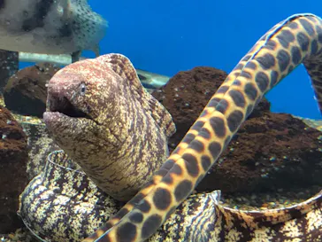 仙台うみの杜水族館に投稿された画像（2022/1/6）