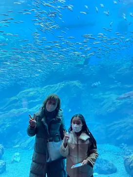 仙台うみの杜水族館に投稿された画像（2022/1/6）