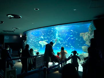 サンシャイン水族館に投稿された画像（2022/1/6）