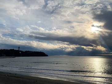 新江ノ島水族館に投稿された画像（2022/1/6）