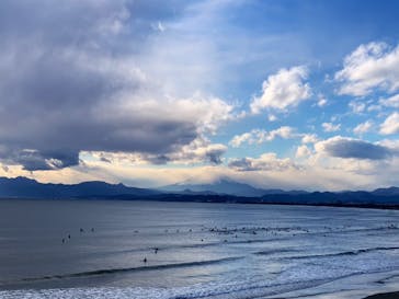 新江ノ島水族館に投稿された画像（2022/1/6）