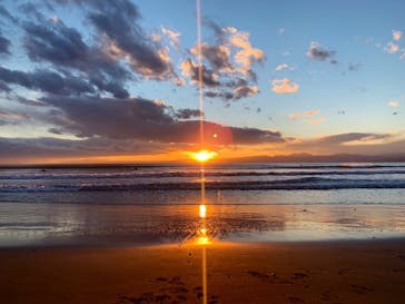 新江ノ島水族館に投稿された画像（2022/1/6）
