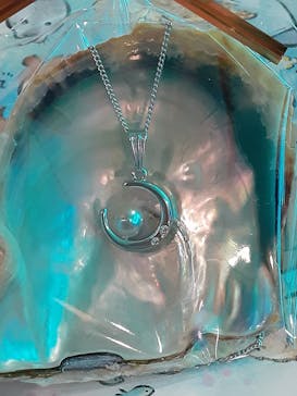 しながわ水族館に投稿された画像（2022/1/6）