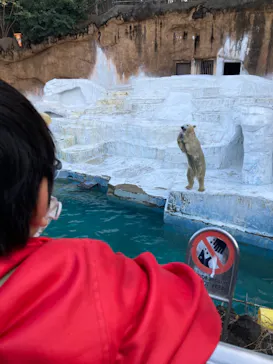 天王寺動物園に投稿された画像（2022/1/3）