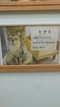 Moff animal cafe 水戸オーパ店に投稿された画像（2022/1/6）