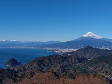 伊豆パノラマパークに投稿された画像（2022/1/6）