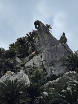 アスムイハイクスに投稿された画像（2022/1/6）