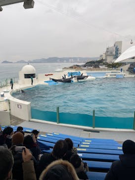 鴨川シーワールドに投稿された画像（2022/1/6）