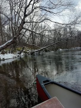 Matatabi（マタタビ）に投稿された画像（2022/1/6）