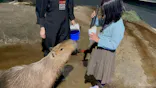 マクセル アクアパーク品川に投稿された画像（2022/1/6）