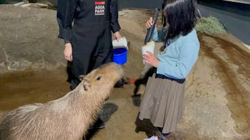 マクセル アクアパーク品川に投稿された画像（2022/1/6）