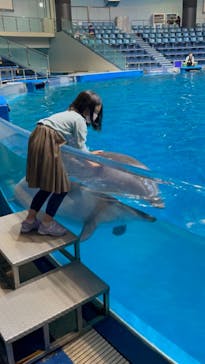 マクセル アクアパーク品川に投稿された画像（2022/1/6）