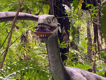 御菓子御殿　名護店　やんばる亜熱帯の森DINO恐竜PARKに投稿された画像（2022/1/6）