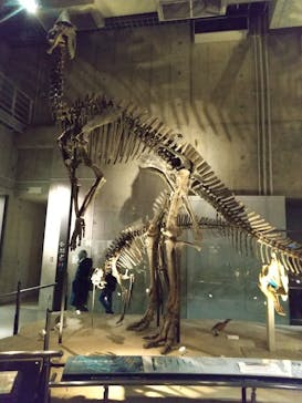 国立科学博物館に投稿された画像（2022/1/6）