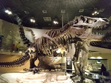 国立科学博物館に投稿された画像（2022/1/6）