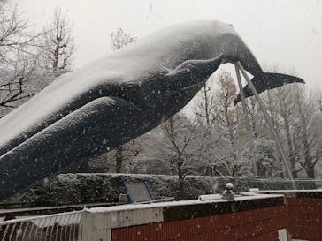 国立科学博物館に投稿された画像（2022/1/6）