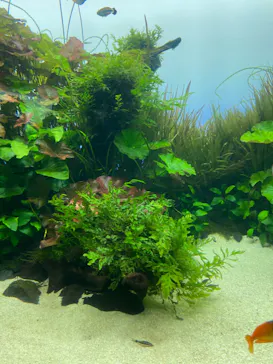 すみだ水族館に投稿された画像（2022/1/6）