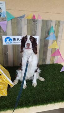 世界の名犬牧場に投稿された画像（2022/1/6）