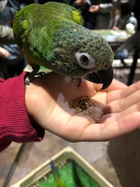 Moff animal world MARK IS みなとみらい店に投稿された画像（2022/1/6）