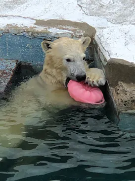天王寺動物園に投稿された画像（2022/1/6）