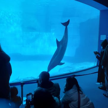 名古屋港水族館に投稿された画像（2022/1/6）