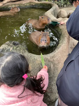 神戸どうぶつ王国に投稿された画像（2022/1/6）