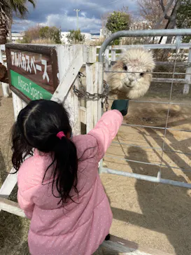 神戸どうぶつ王国に投稿された画像（2022/1/6）