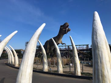 伊豆ぐらんぱる公園に投稿された画像（2022/1/6）