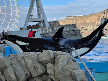 名古屋港水族館に投稿された画像（2022/1/6）