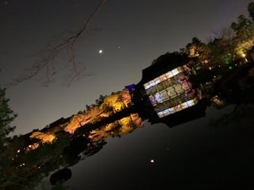 NAKED ヨルモウデ 平安神宮に投稿された画像（2022/1/6）