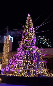 ひらかたパークに投稿された画像（2022/1/6）