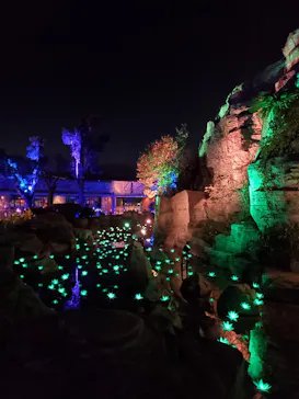 ひらかたパークに投稿された画像（2022/1/6）