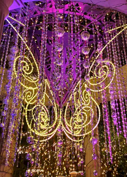 ひらかたパークに投稿された画像（2022/1/6）